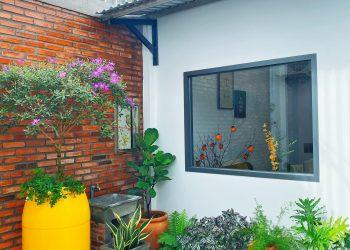 chi la mot khu vuon nho chi khoang 10m2 trong 6a629162 - Nhà vườn nhỏ xinh giữa lòng thành phố