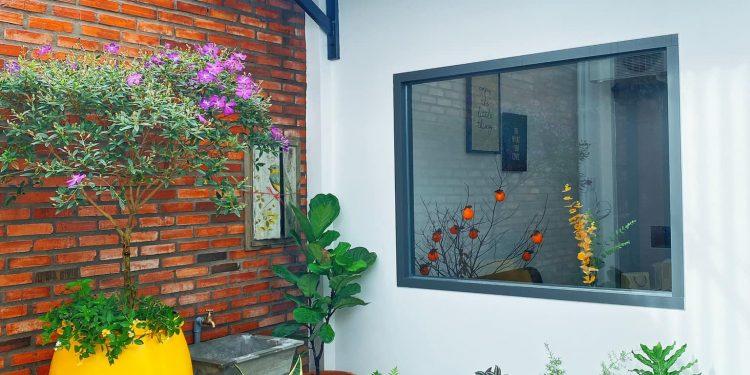 chi la mot khu vuon nho chi khoang 10m2 trong 6a629162 - Nhà vườn nhỏ xinh giữa lòng thành phố