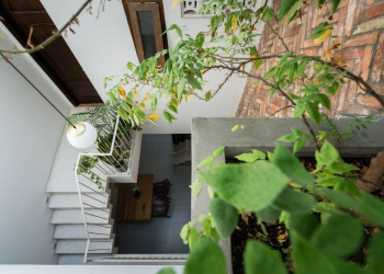 chi voi dien tich 53 met vuong chung ta co 7c903eeb - Nhà phố đẹp : Hình thực tế, giếng trời, diện tích 53m2 chi voi dien tich 53 met vuong chung ta co 7c903eeb - Nhà phố đẹp : Hình thực tế, giếng trời, diện tích 53m2
