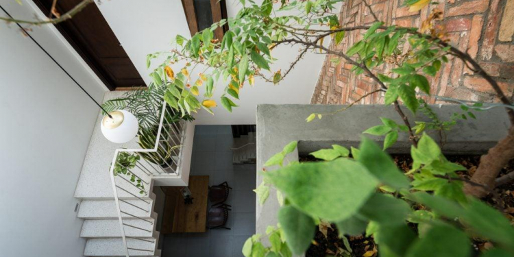 chi voi dien tich 53 met vuong chung ta co 7c903eeb - Nhà phố đẹp : Hình thực tế, giếng trời, diện tích 53m2