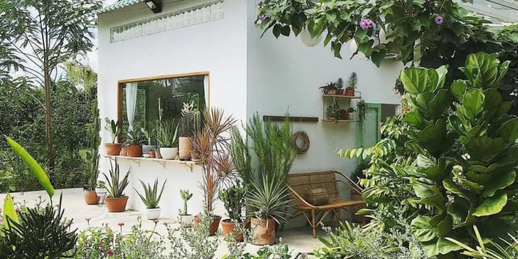 hinh ngoai troi 76 fc9b8b79 - Mẫu nhà cấp 4 vườn đẹp : Màn cải tạo tuyệt vời của căn nhà cấp 4 vườn.