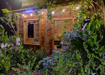 that ra minh chang biet viet gi de chia se f1f16b06 - Đà Lạt thu nhỏ trên sân thượng