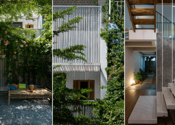 nha pho huong tay cho 2 nam de duoc chiem 7fd369db - Nhà phố hướng Tây chờ 2 năm để được chiêm ngưỡng và tận hưởng vẻ đẹp trưởng thành, duyên dáng của những "tấm rèm che" thiên nhiên