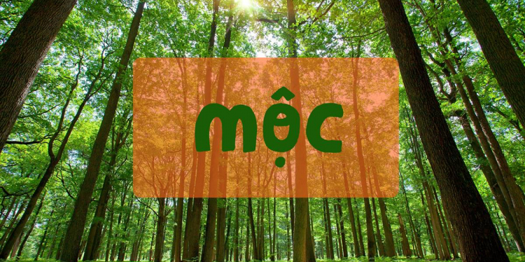 menh moc la gi phong thuy 30c4a0e2 - Những kiến thức phong thủy cơ bản mà người mệnh Mộc cần biết