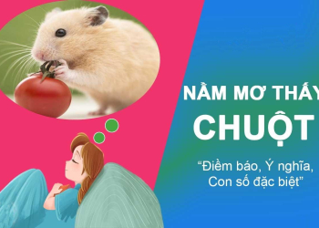 giai ma nam mo thay chuot danh con gi 1 c57a0a51 - Giải mã nằm mơ thấy chuột là điềm gì? Mơ thấy chuột đánh số mấy?