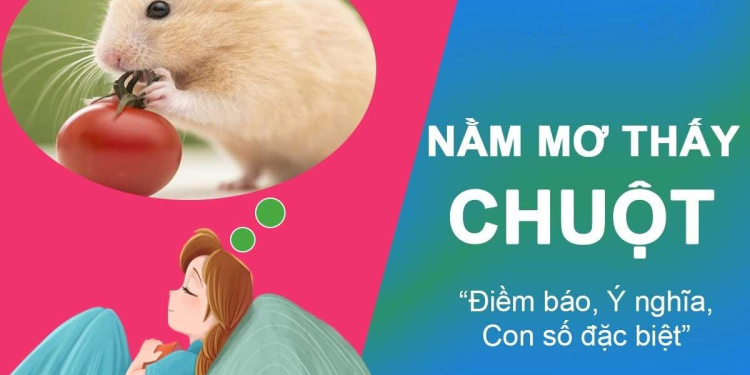giai ma nam mo thay chuot danh con gi 1 c57a0a51 - Giải mã nằm mơ thấy chuột là điềm gì? Mơ thấy chuột đánh số mấy?